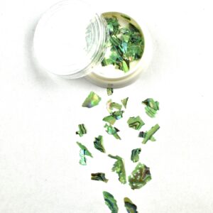 Abalone Sea Shell 10