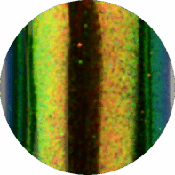 Aurora Pigment (6)