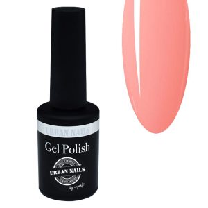 Distri GP 87 Charlie