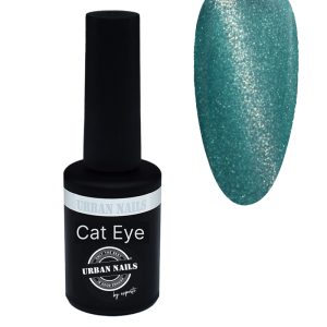 Cat Eye Gel Polish 53-A