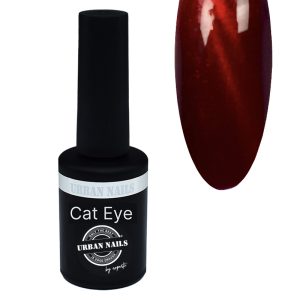 Cat Eye Gel Polish 60