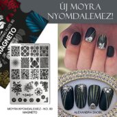 Moyra Stamping Plate 80 Magneto 2