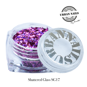 Shattered Glass 17