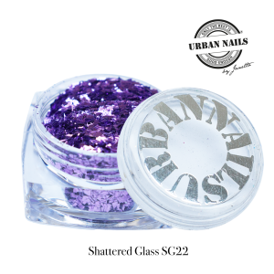 Shattered Glass 22