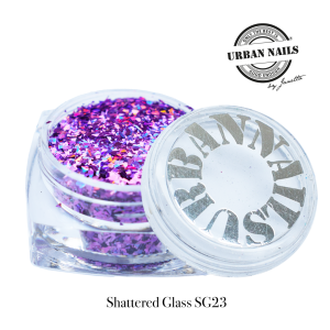 Shattered Glass 23