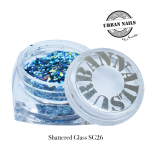 Shattered Glass 26