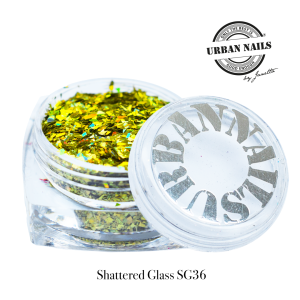 Shattered Glass 36