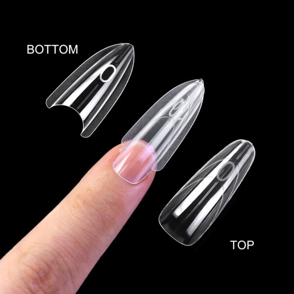 bottom.top.almond bottom.top.almond