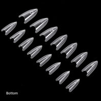 sandwich.almond.bottom