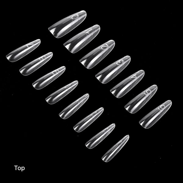 sandwich.almond.top sandwich.almond.top