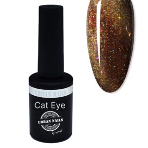 Cat Eye Gel Polish 21